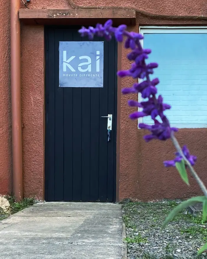 La entrada de Kai: una puerta negra con el cartel de kai y flores violetas en primer plano